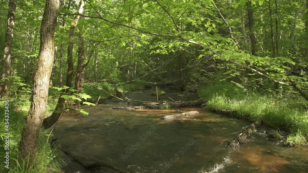 Fast moutain river flowing through forest in a sunny summer day Fast moutain river flowing through forest in a sunny summer day