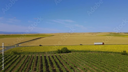 Sunflower field with truck on the road. Large-scale cultivation of sunflowers in a sunny environment. The field is crossed by a road in which a truck circulates.