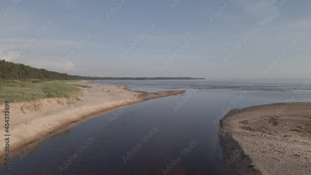 Drone following a river between pine tree forest and sand dune that exits into the sea Drone following a river between pine tree forest and sand dune that exits into the sea