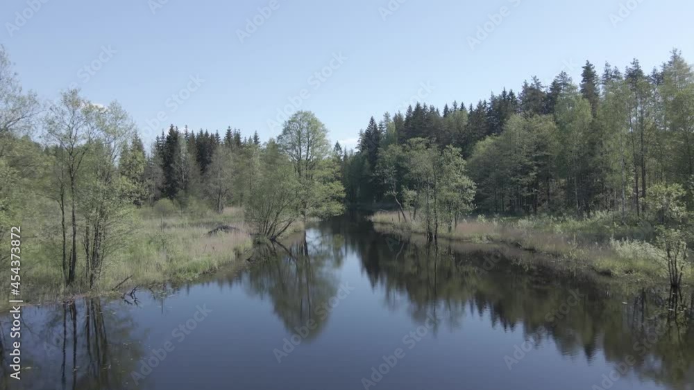 Drone flying along a calm river through a forest in summer morning Drone flying along a calm river through a forest in summer morning