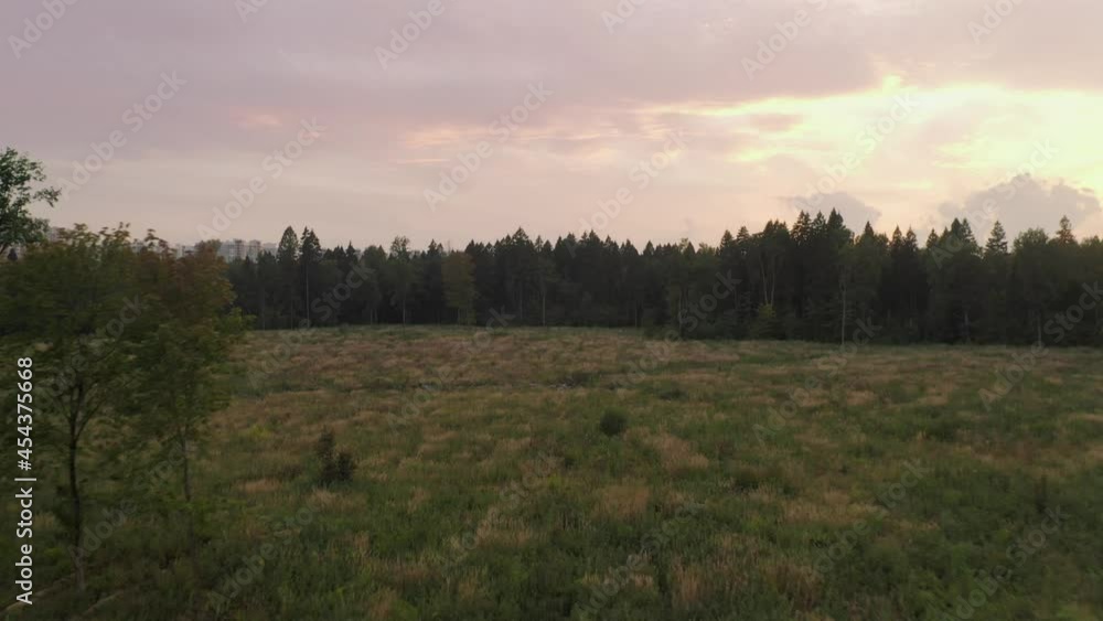 Flying through upper branches of tree, aerial view of summer meadow and colourful sunset over the forest
Flying through upper branches of tree, aerial view of summer meadow and colourful sunset over the forest