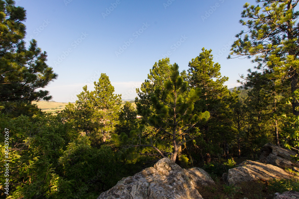 Fototapeta premium Oak Park in Summer, Whitewood, South Dakota