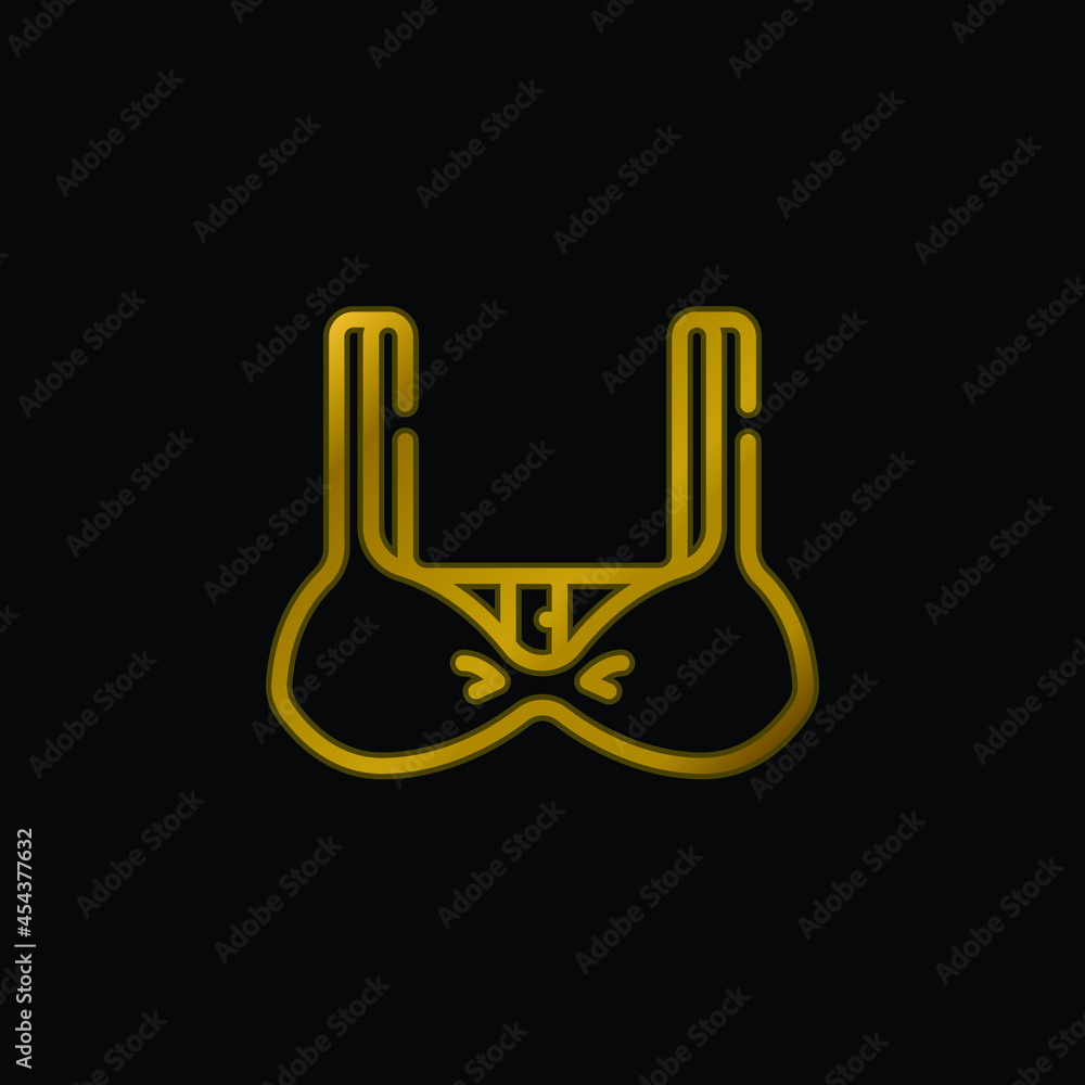 Bra gold plated metalic icon or logo vector Bra gold plated metalic icon or logo vector