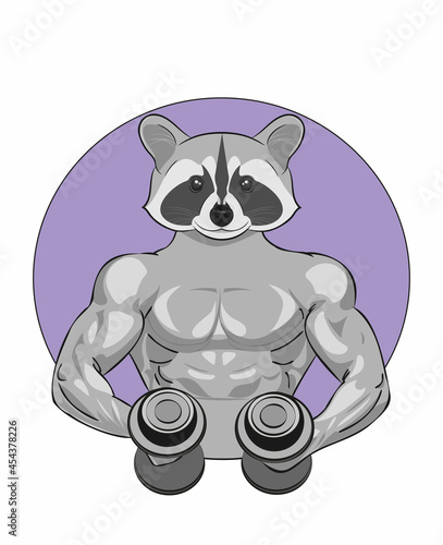 Strong muscular raccoon holding two dumbbells in his hands and doing workout vector illustration. Sports fitness facilities, tickets, banners	