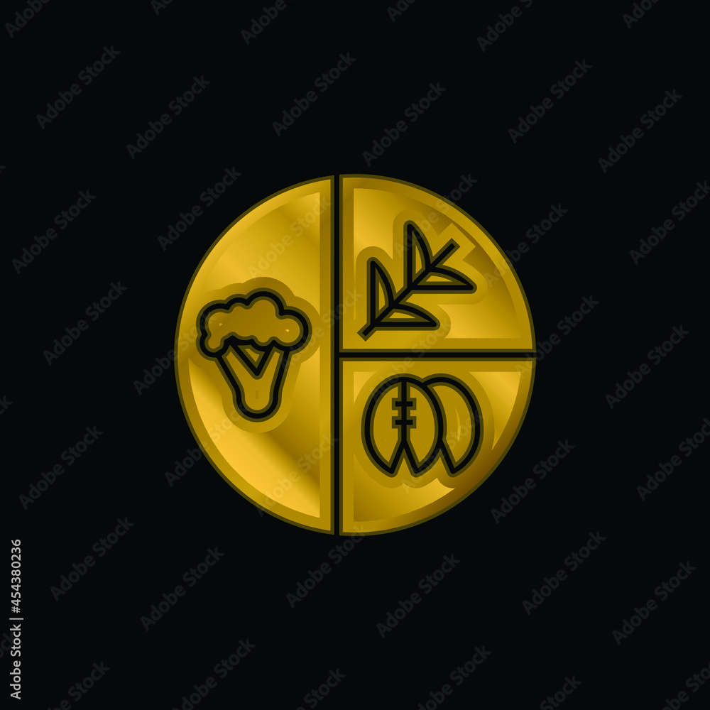 Balanced Diet gold plated metalic icon or logo vector Balanced Diet gold plated metalic icon or logo vector
