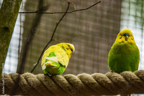 Vogelpark Walsrode photo