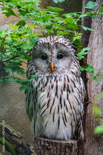 Vogelpark Walsrode photo