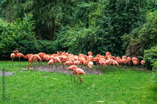 Vogelpark Walsrode photo