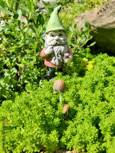 person in a garden