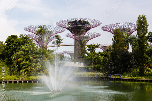 Panoramic view of the famous lush Gardens by the Bay with its distinctive tree-like structures, Singapore