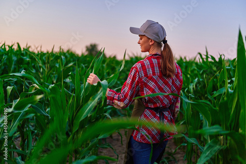 Happy smiling young female farmer agronomist touching corn leaves for analyzing maize crop