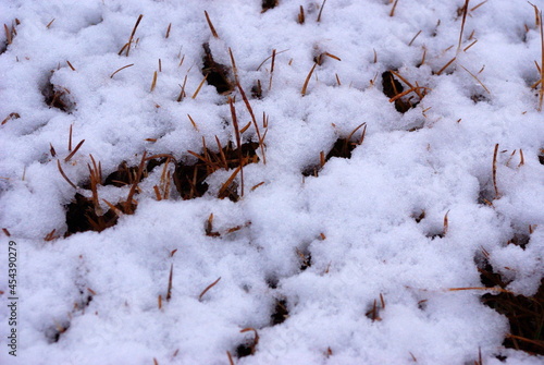 snow on dead grass