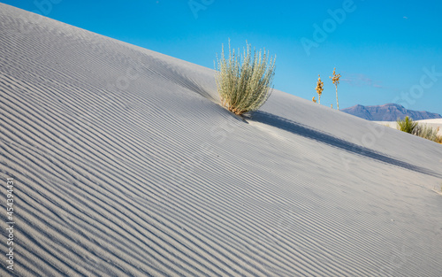 White Sands New Mexico