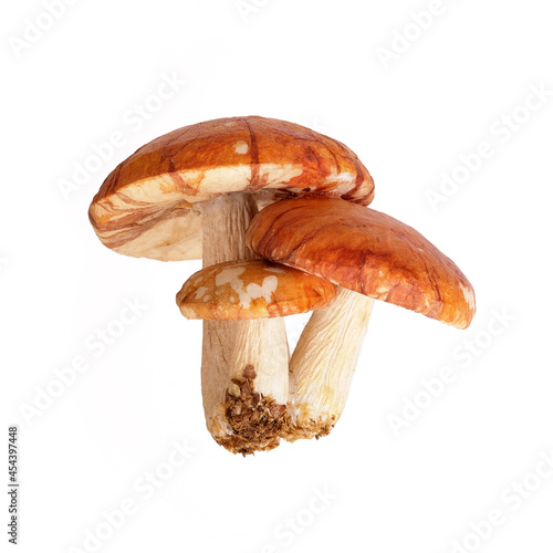 Three yellow-red mushrooms isolated on white background