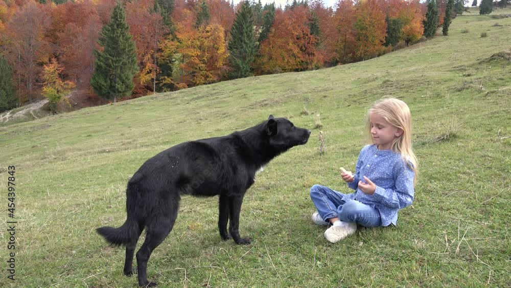 Kid Feeding Dog on Meadow, Child Playing with a Puppy Pet, Domestic Animal Eating, Little Girl in Mountains Rustic View in Fall Kid Feeding Dog on Meadow, Child Playing with a Puppy Pet, Domestic Animal Eating, Little Girl in Mountains Rustic View in Fall