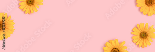 Banner with frame made of orange arnica flowers on a pink background. Floral concept with place for text. photo