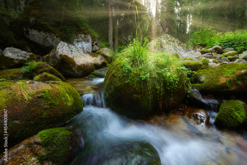 Small mountains river in the dark forest
