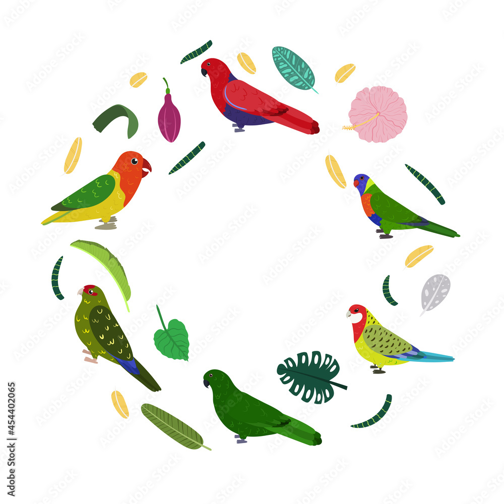 Obraz Design template with parrots in circle for kid print. Round composition of tropical birds kakariki, loriiane, eclectus and rosella. Vector set of jungle life in cartoon style.