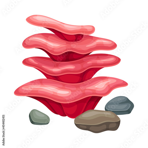 Sea Polyp Growing on the Ocean Bottom and Stone Vector Composition