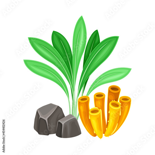 Sea Coral and Algae Growing on the Ocean Bottom and Stone Vector Composition