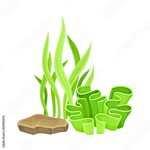 Green Sea Coral and Algae Growing on the Ocean Bottom and Stone Vector Composition