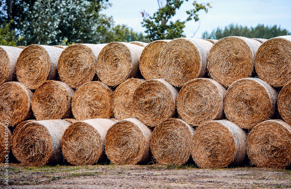 Straw bales stacked in a farm after the harvest. Agricultural concept Straw bales stacked in a farm after the harvest. Agricultural concept