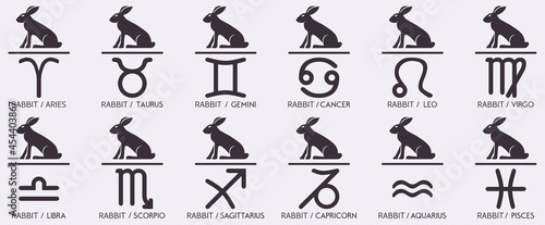 Vector Year of the rabbit hare Animal icons eastern annual horoscope and zodiac signs in one symbol 2023 2035 2047 2059 years