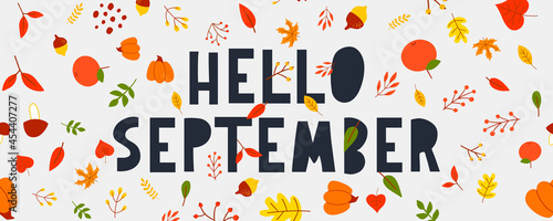 Hand drawn typography lettering phrase Hello, September isolated on the white background with golden wreath. Fun brush ink calligraphy inscription for greeting and invitation card or print design