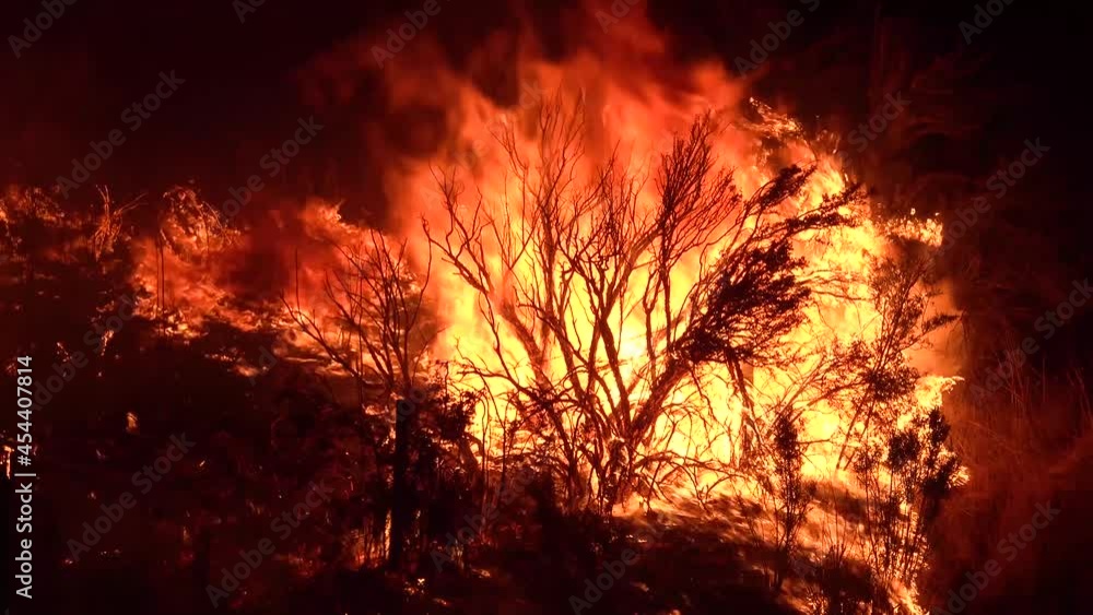 2021 - The Dixie Fire burns vegetation in a forest in Northern California at night. 2021 - The Dixie Fire burns vegetation in a forest in Northern California at night.