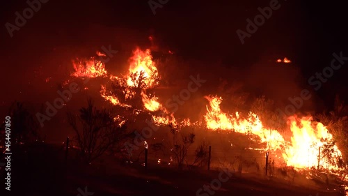 2021 - The Dixie Fire burns vegetation in a forest in Northern California at night. photo