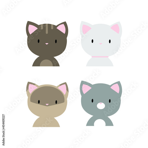  four cats portrait on the white background