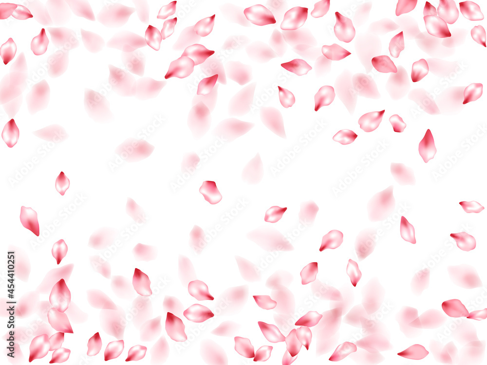 Pink sakura flower flying petals isolated on white vector background.