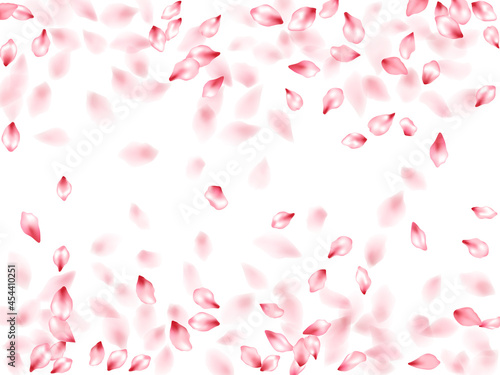 Pink sakura flower flying petals isolated on white vector background.