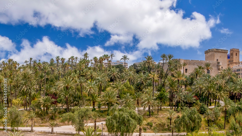 panoramic view of the Palmeral of Elche declared World Heritage and the Altamira castle. Located in the Valencian Community, Alicante, Elche, Spain