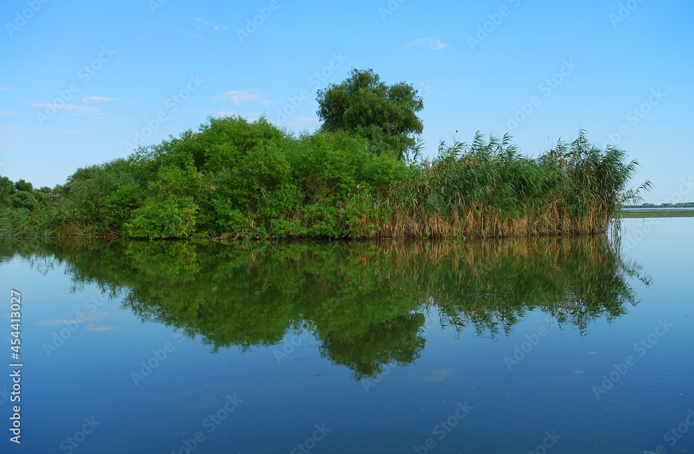 Boat trip in Danube Delta. Plants specific to the wetlands of Danube Delta in Romania, Biosphere Reserve, Europe
