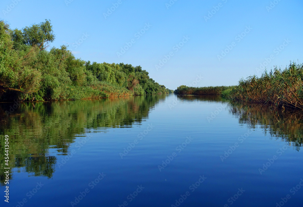 Boat trip in Danube Delta. Plants specific to the wetlands of Danube Delta in Romania, Biosphere Reserve, Europe