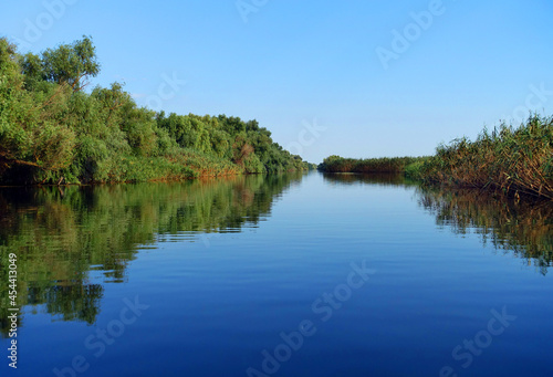 Boat trip in Danube Delta. Plants specific to the wetlands of Danube Delta in Romania, Biosphere Reserve, Europe © Rechitan Sorin