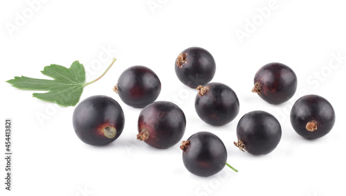 Elder berries isolated on white background