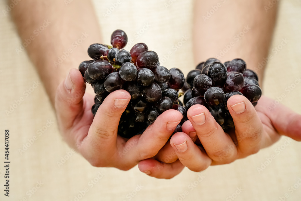 Bunches of natural organic farmer's black grapes on black plate background top view close up cup.
Bunches of natural organic farmer's black grapes on black plate background top view close up cup.