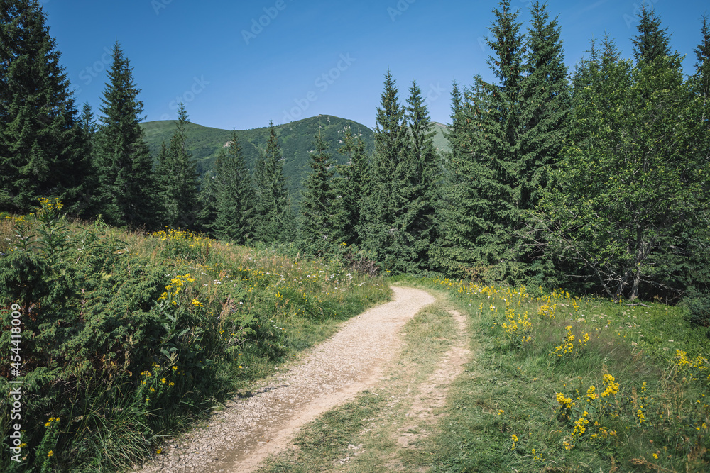 Fototapeta premium incredibly beautiful landscapes of mountain heights. mountain trip in Ukraine