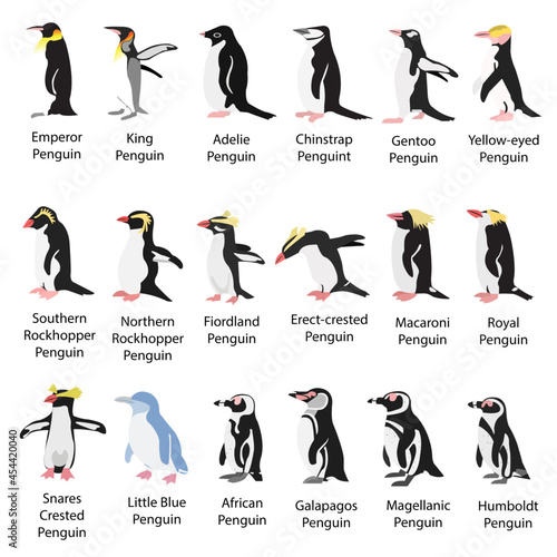 set of penguins