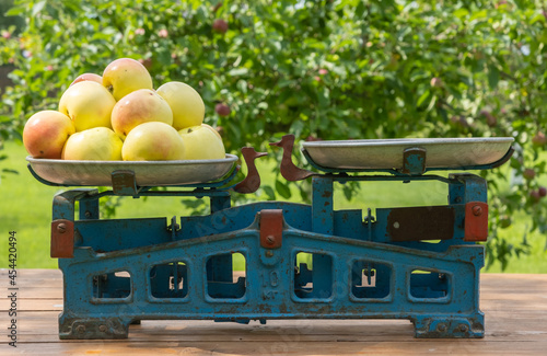 Ripe appetizing apples on one of the bowls of beautiful old scales of the Soviet period against a blurred background of an apple orchard.