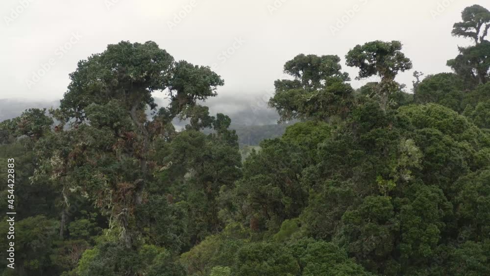 2021 - Excellent aerial shot of a misty rainforest in Costa Rica. 2021 - Excellent aerial shot of a misty rainforest in Costa Rica.
