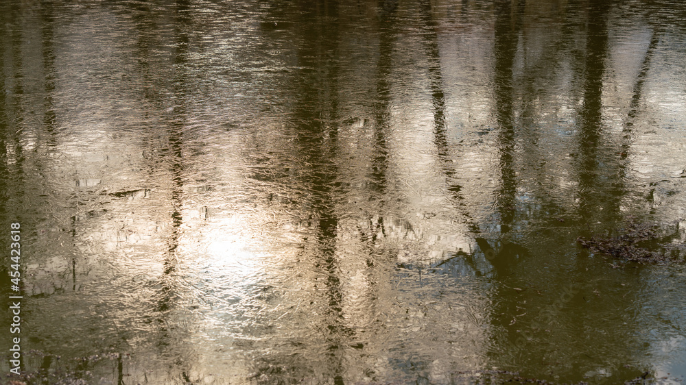 Reflections on the frosty lake, in winter, close-up Reflections on the frosty lake, in winter, close-up