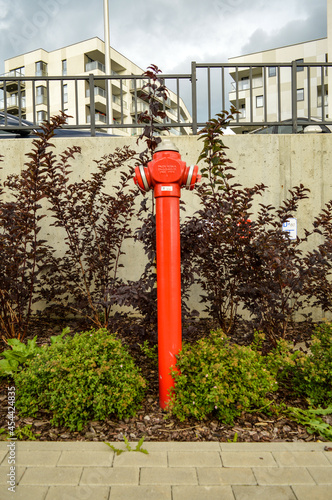 Beautiful Red Hydrant