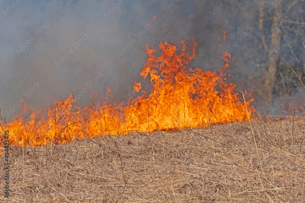 Roaring Flames in a Burning Prairie
