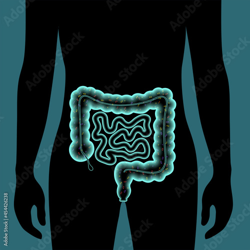 Gut microbiome concept