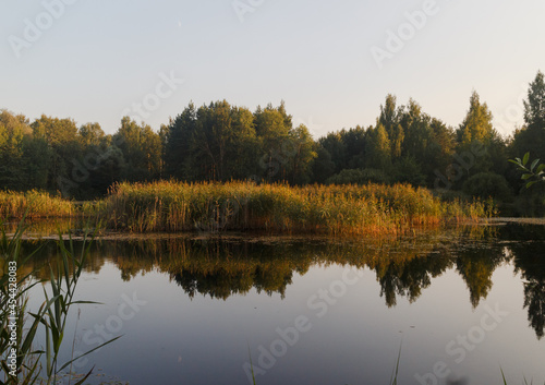 Sunny evening in Moscow oblast  Russia  Noginsk area. Lake. reflections in water. Sun s rays illuminate the trees