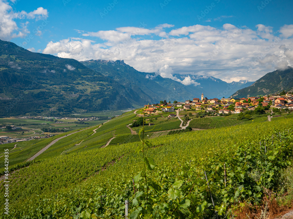 AERIAL: Lush vineyards lead up to the town of Sion under the rocky mountains.