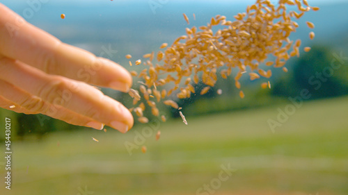 CLOSE UP Unrecognizable female farmer sows seeds in the scenic green countryside